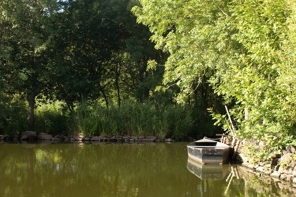 Parc naturel régional de Brière