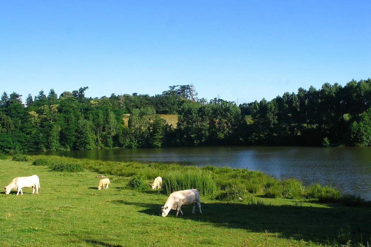 Lac de Ribou