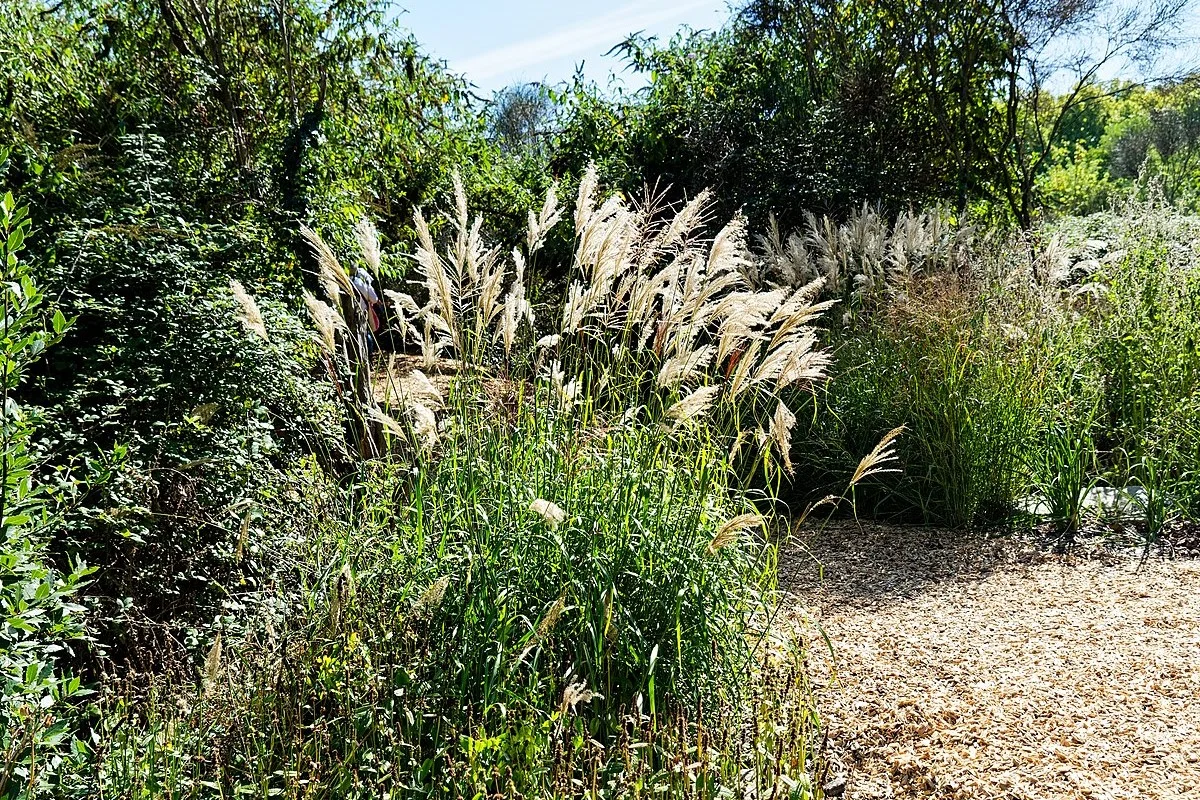 Le jardin extraordinaire