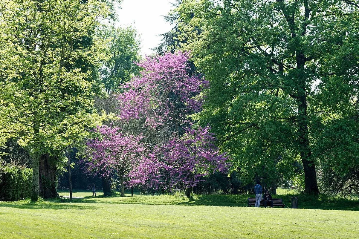 Parc de la Gaudinière