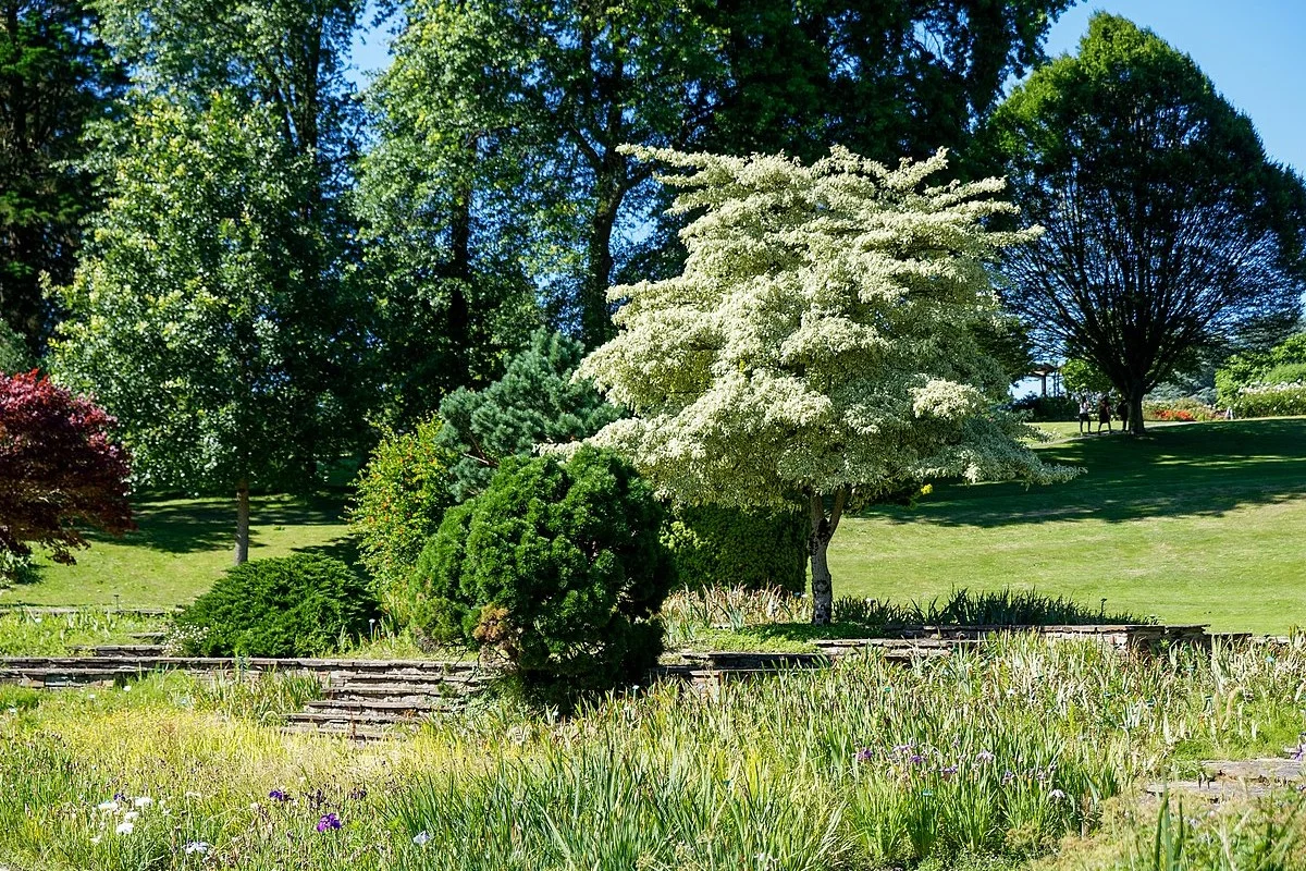 Parc floral de La Beaujoire