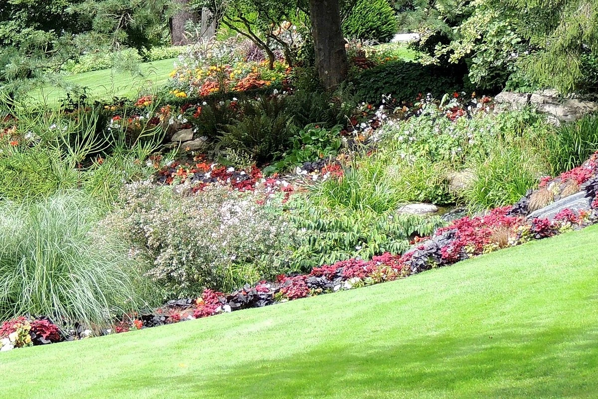 Jardin des plantes d' Angers