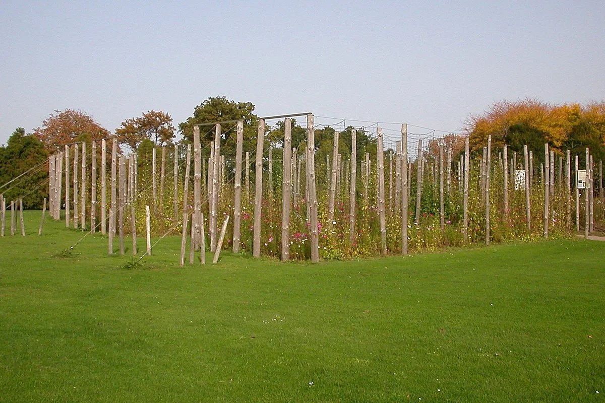 Parc du Grand Blottereau