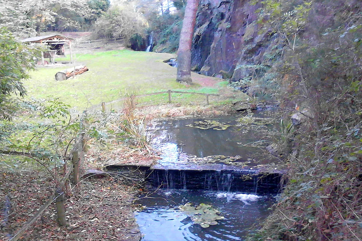 Parc de la Garenne
