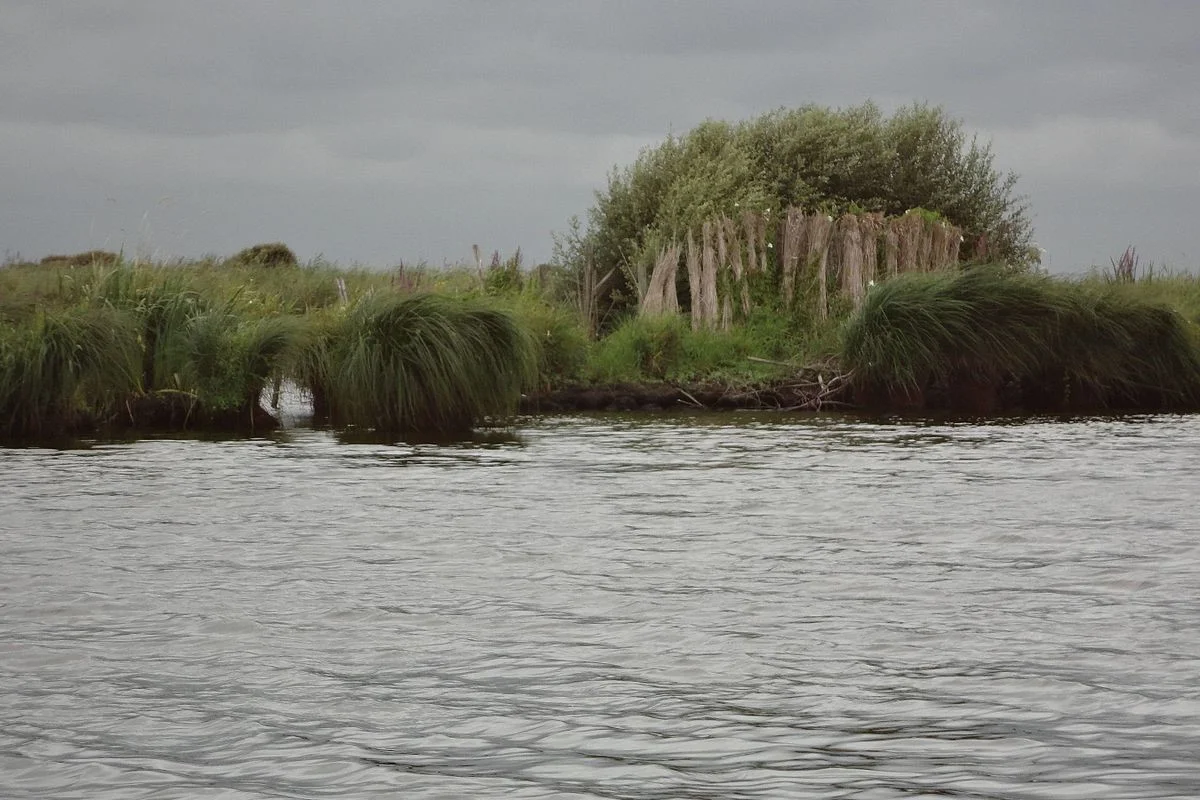Parc naturel régional de Brière