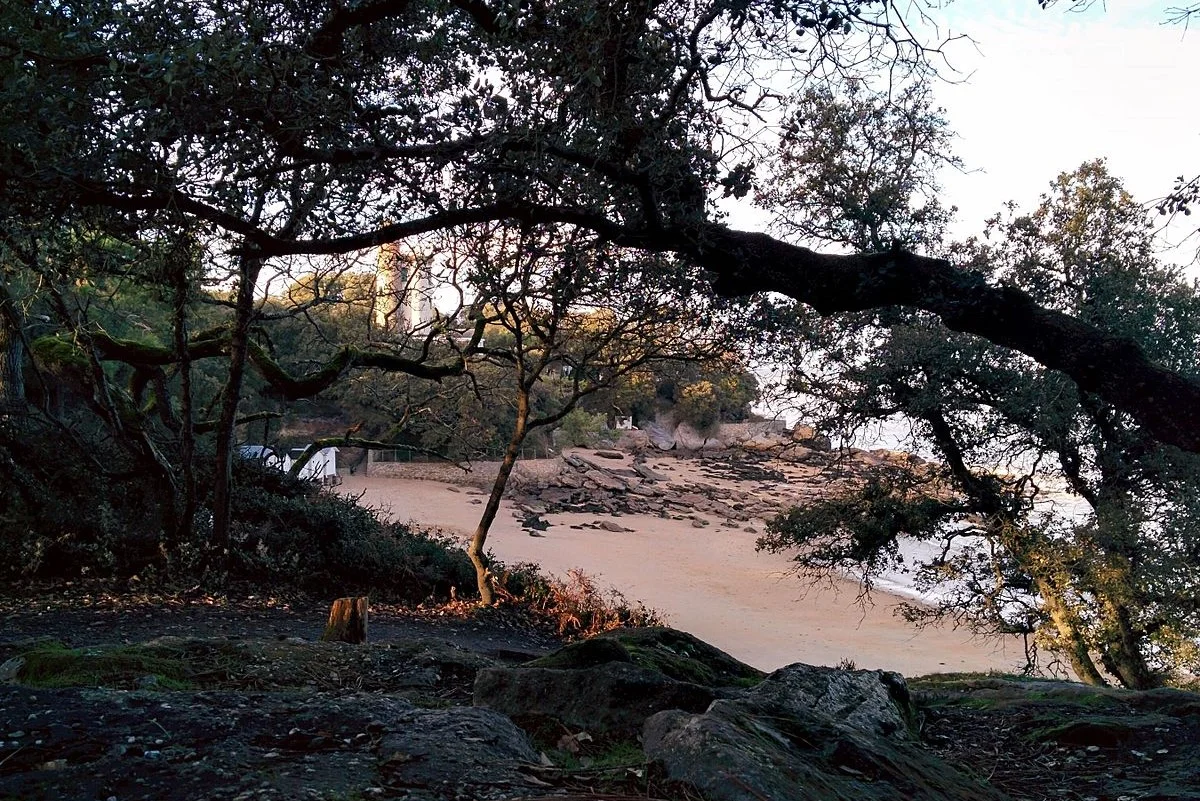 Plage des Dames au Bois de la Chaise