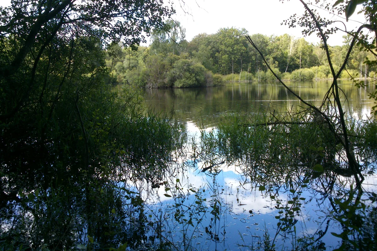 Etang des Noues