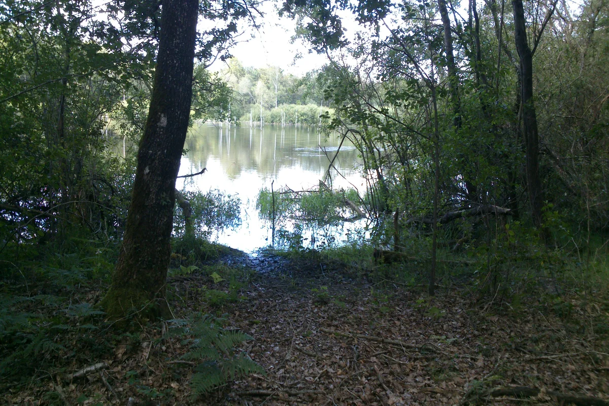 Etang des Noues