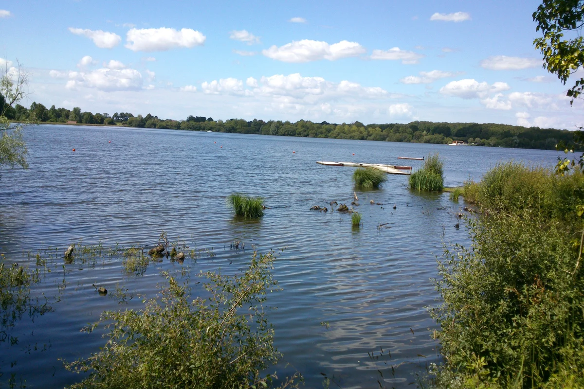 Etang des Noues