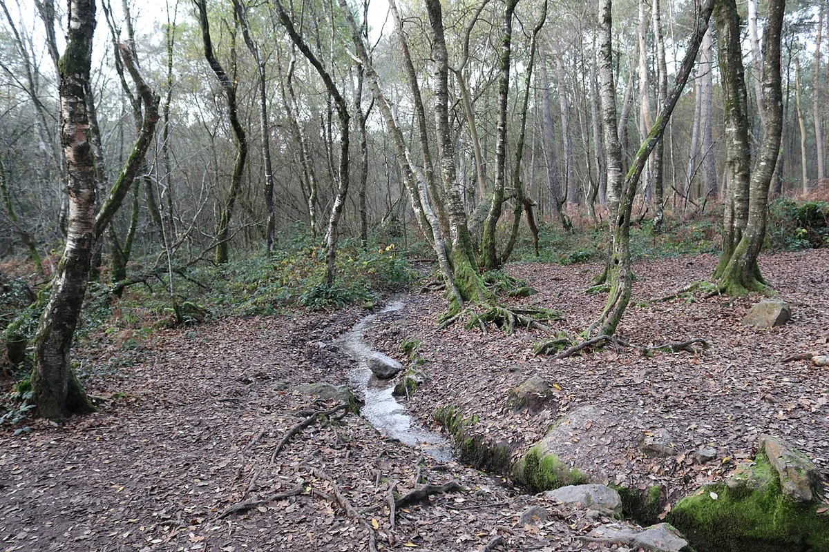 La fontaine de Barenton