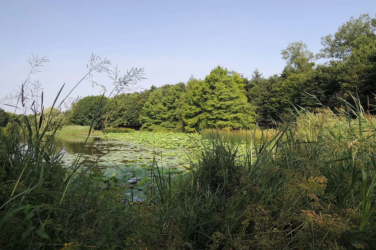 Parc des Gayeulles