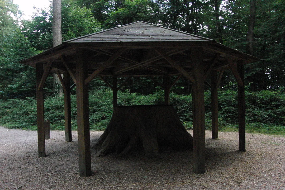 Forêt de Bercé