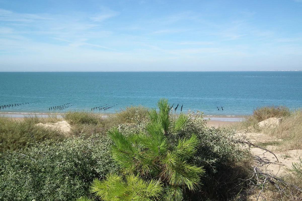 Plage de Boyardville
