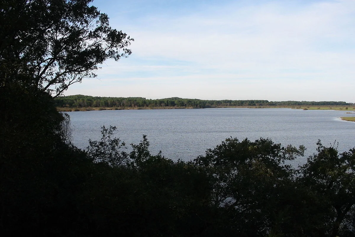 Etang de Lacanau