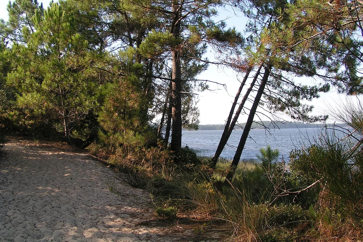 Etang de Lacanau