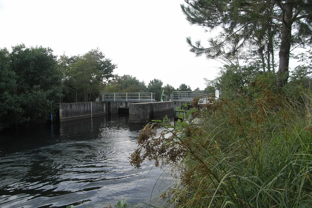 Etang de Cazaux et de Sanguinet