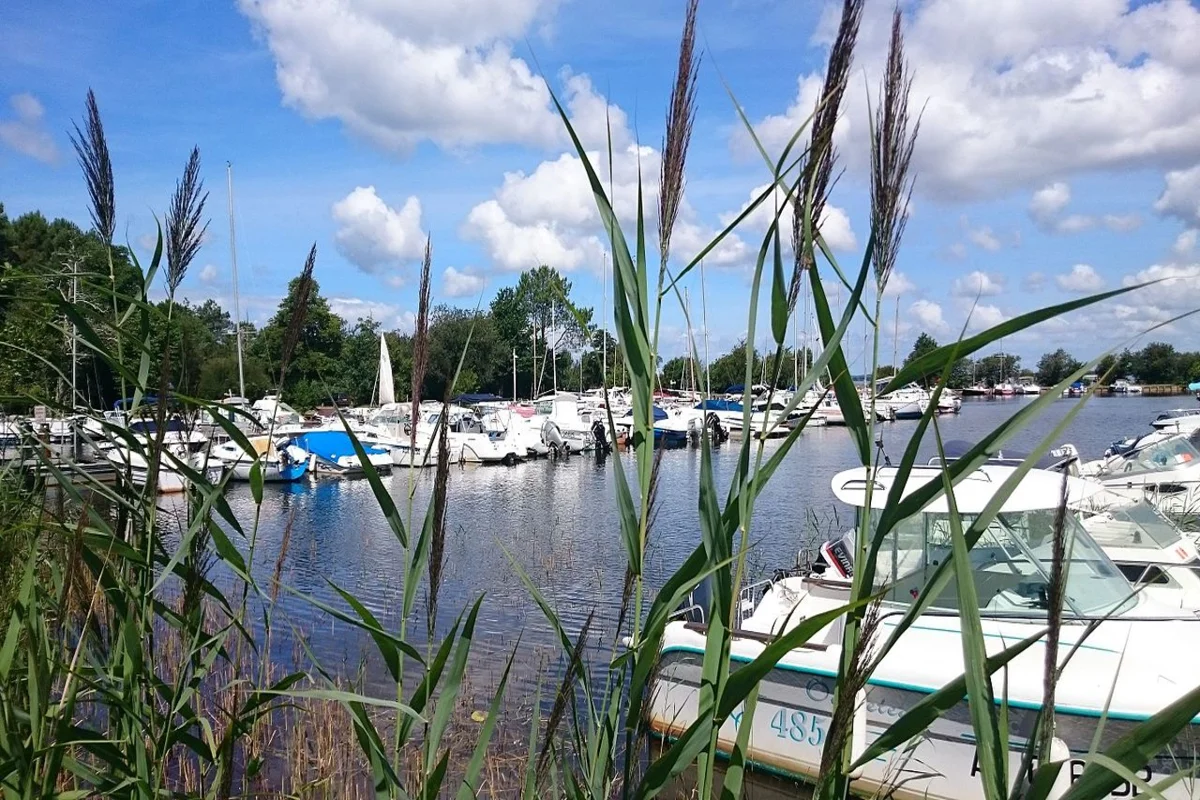 Etang de Cazaux et de Sanguinet