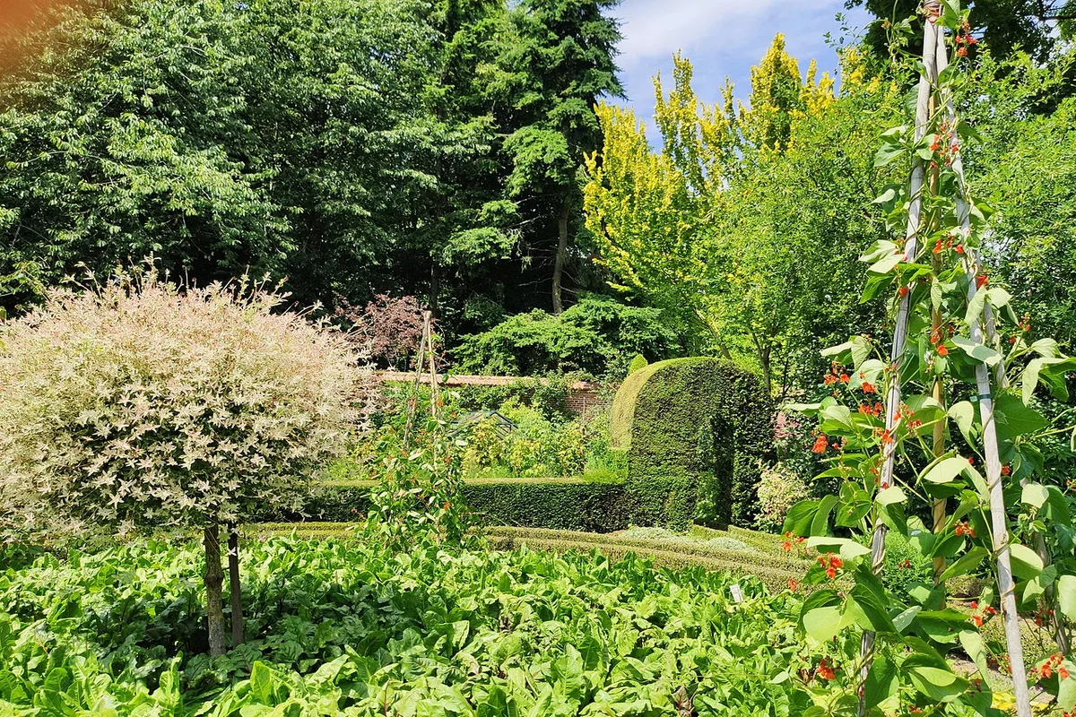 Château de Digeon et son jardin floral