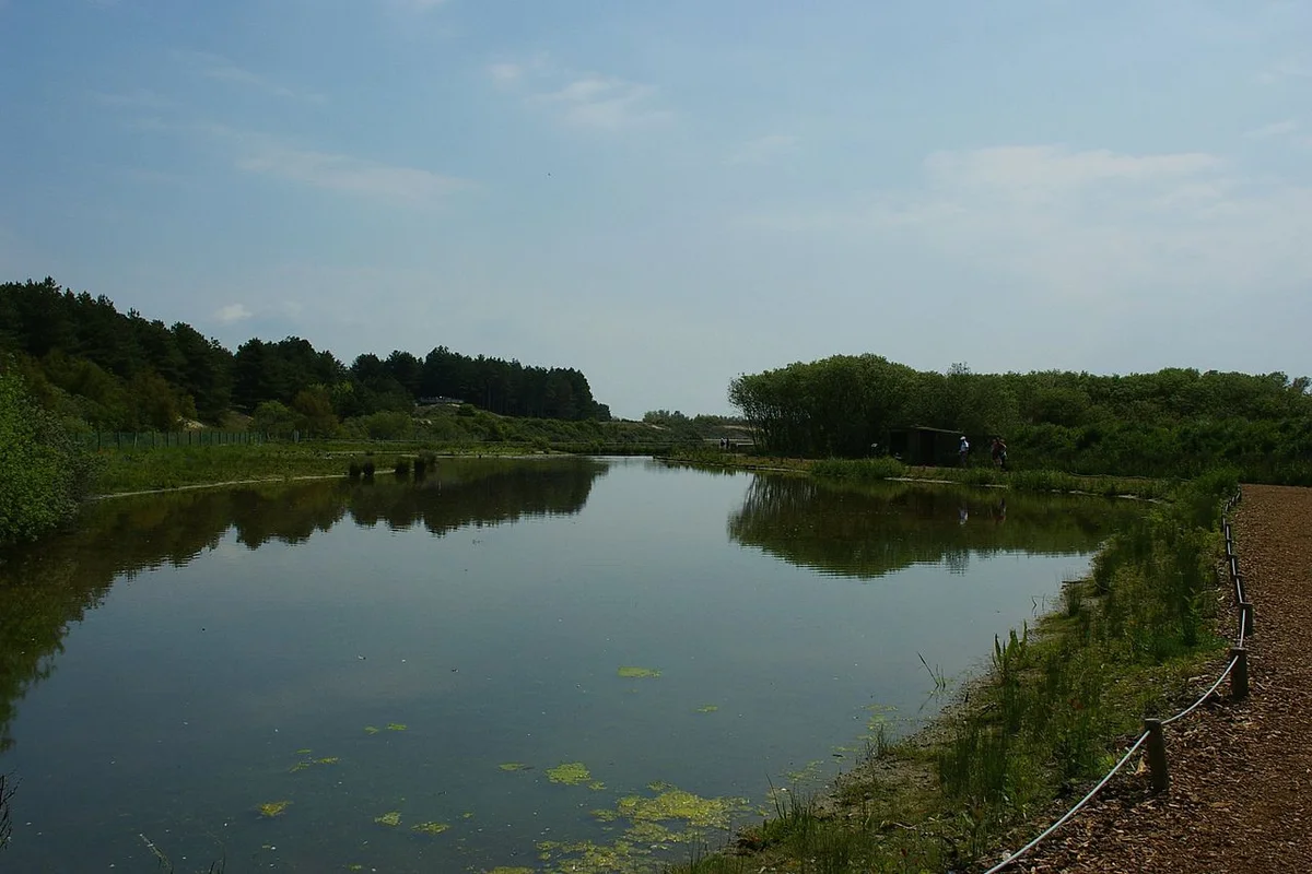 Parc du Marquenterre
