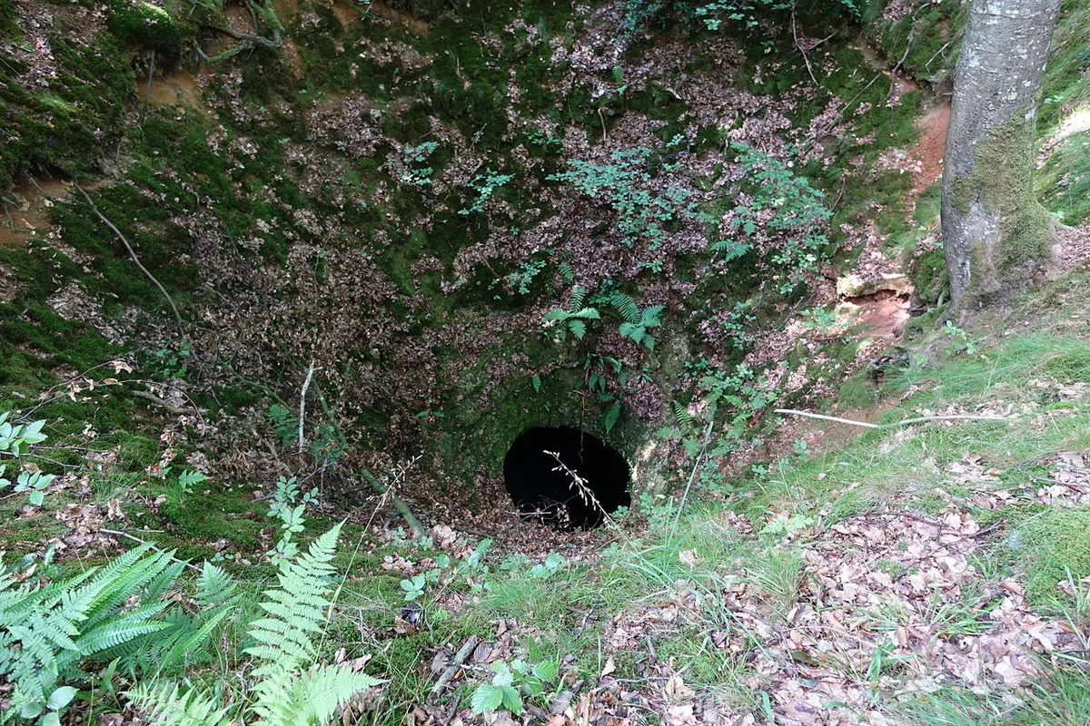 Forêt d' Eawy