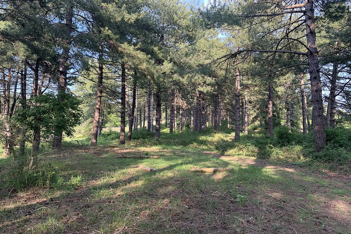 Parc du Marquenterre