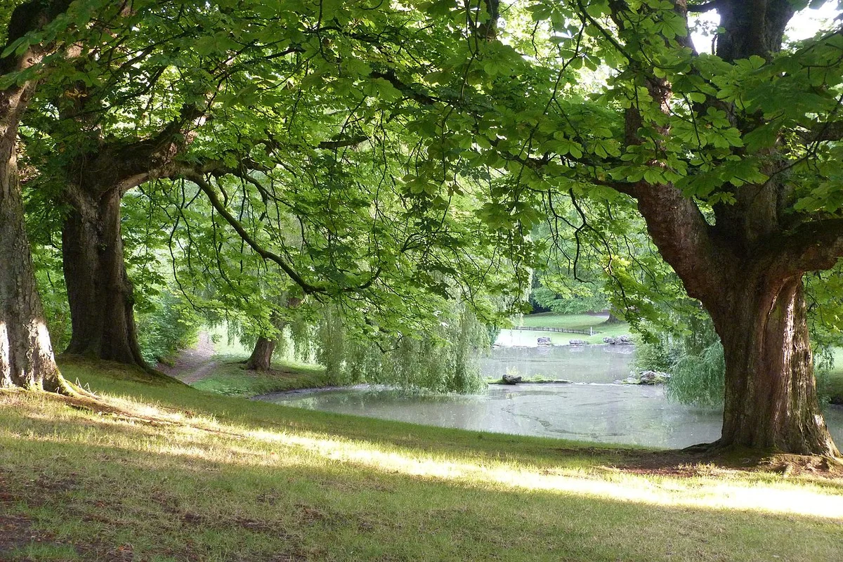 Parc Barbieux