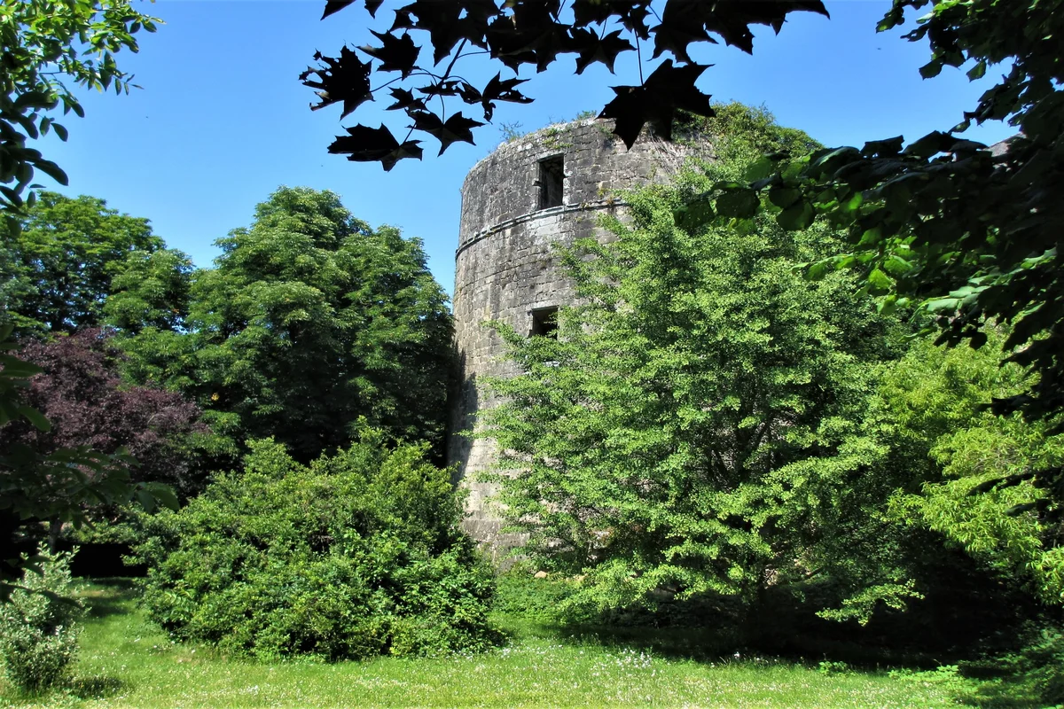 Château de Mortagne-sur-Sèvre