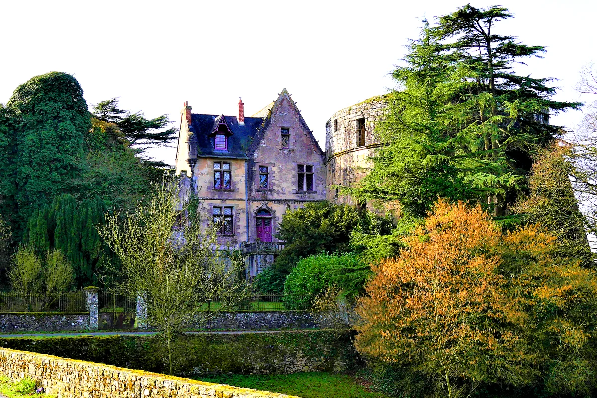 Château de Mortagne-sur-Sèvre
