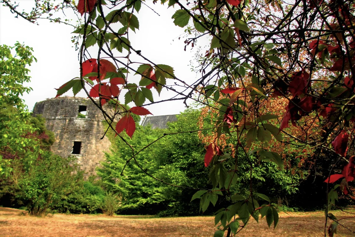 Château de Mortagne-sur-Sèvre