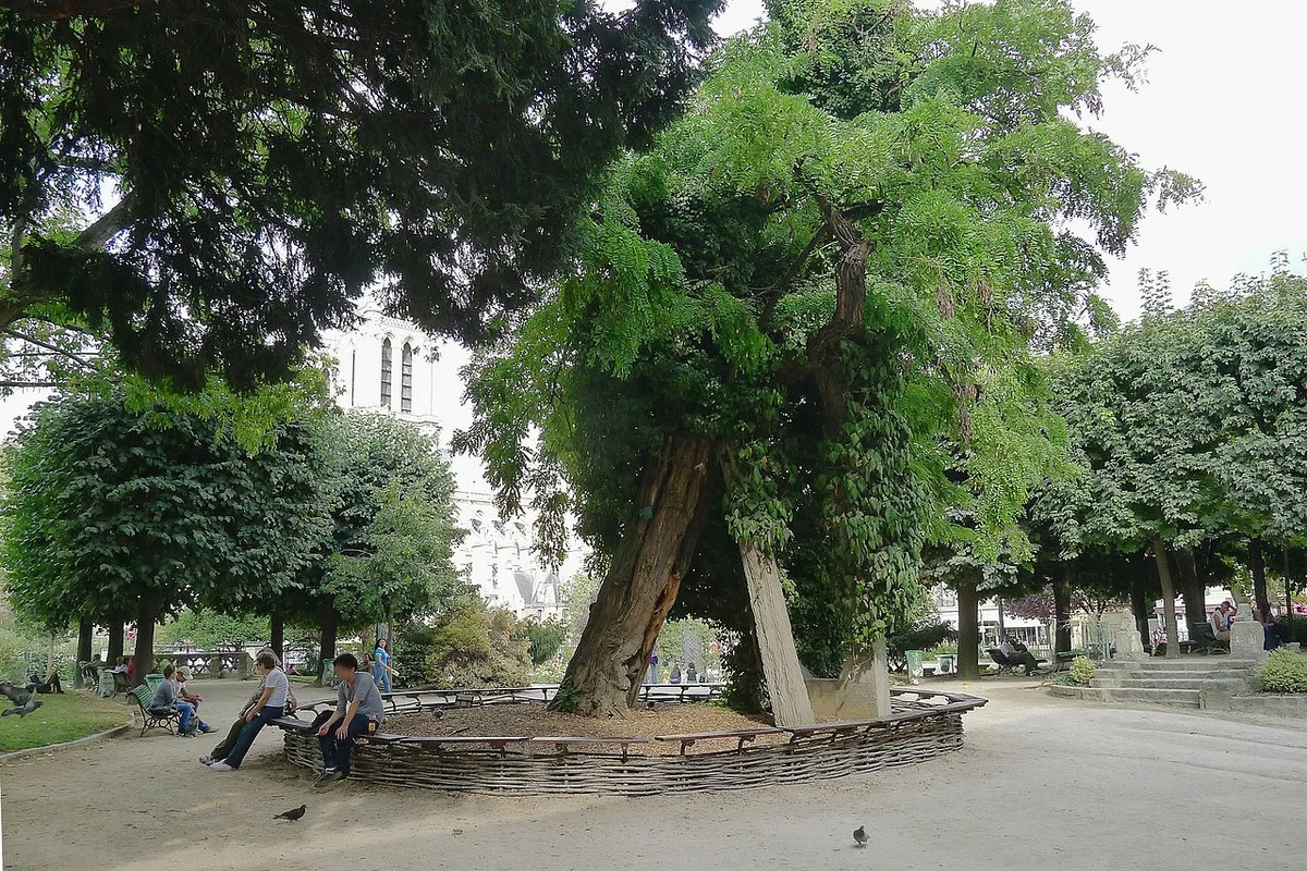 Square René-Viviani
