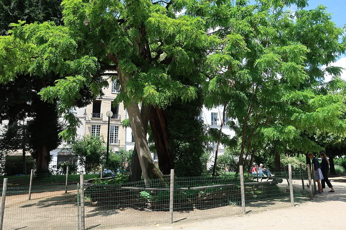 Square René-Viviani